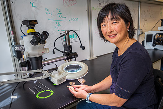 Professor Sora Kim