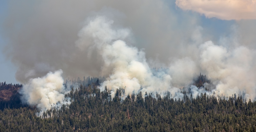 Photo depicts smoke over a wildfire burning through a forest.