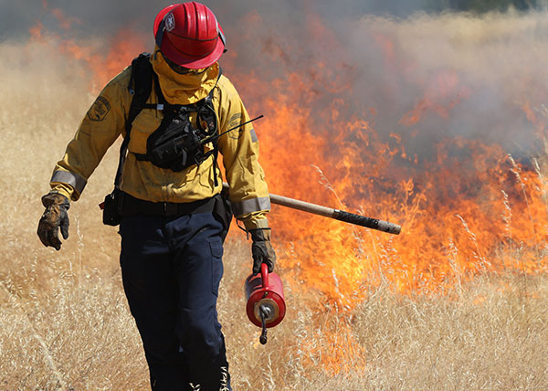 Controlled burn in brush area