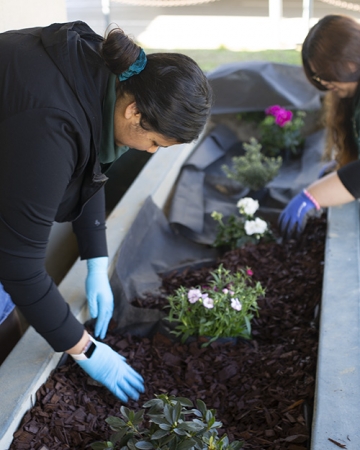 UC Merced students Vanessa Flores (left), a sophomore in sociology from Escondido and Jazlene Villanueva (right), a junior in biology from Concord, plant flowers to enhance to local elementary school.