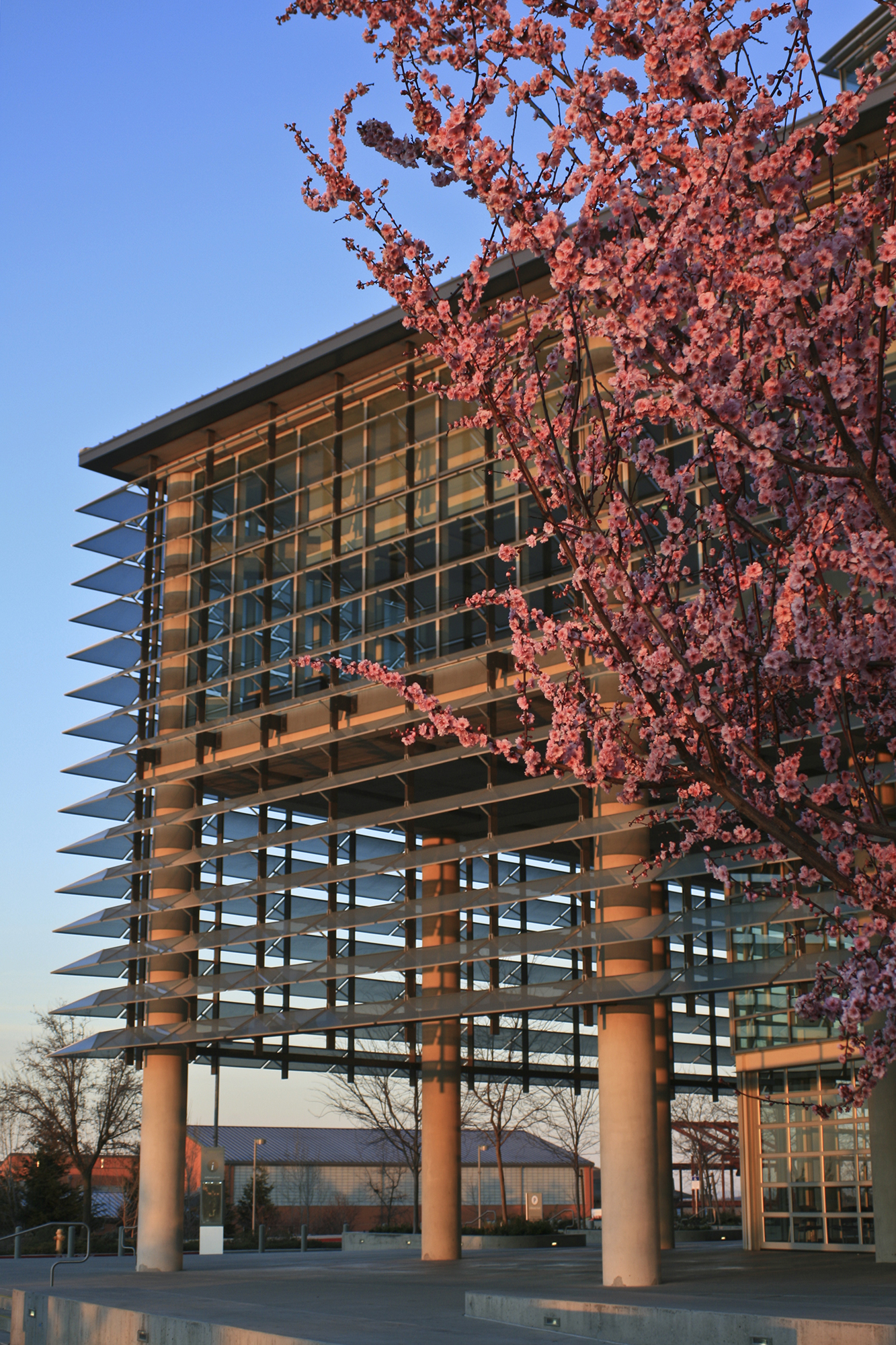 The exterior of the Lantern at the Leo and Dottie Kolligian Library is seen in a photo taken on Feb 16, 2012. 