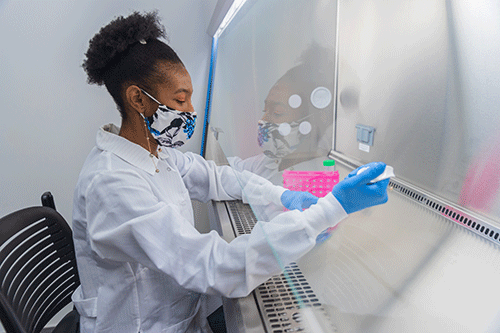 A student works on a lab experiment.