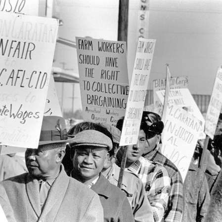 Farmworker hold up picket signs during a march.