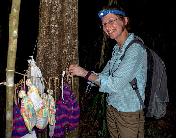 Betsy Dumont with bagged bats amid fieldwork in Belize in the mid-'90s