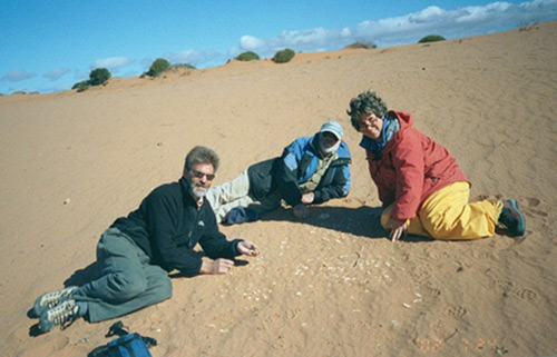 Fogel, right, and her research colleagues search an Australian beach known as Geny Heaven for remains of Genyornis egg shells.