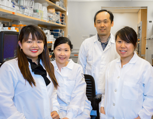 Professor Masashi Kitazawa and the students in his lab are researching the links between copper and Alzheimer's disease.
