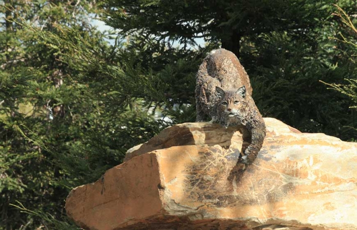 The life-like bronze bobcat was a campus gift from the Class of 2007.