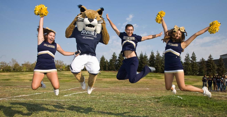 Rufus is the real-life iteration of the UC Merced bobcat.