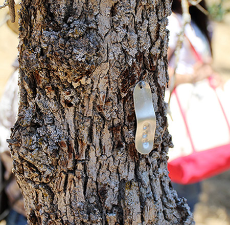 The student interns used GPS devices to locate points on Circle J-Norris Ranch, the site of the new field station.