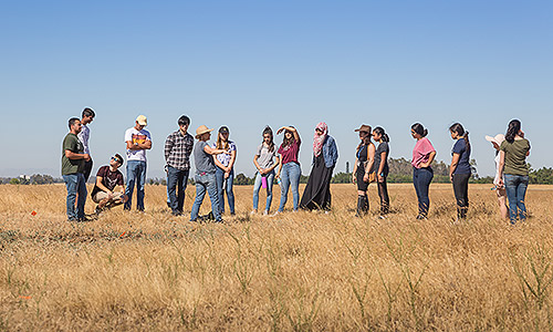 High school students in the STEP program were led on a tour of the UC Merced Vernal Pools and Grassland Reserve. 