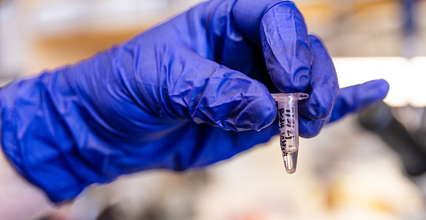 A test tube in a lab