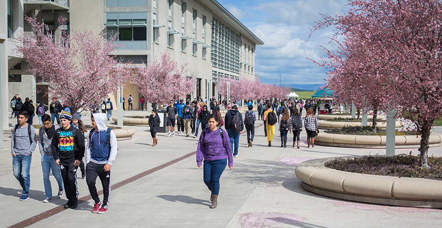 Students walk along Scholars Lane on campus. 