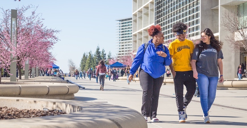 Students walk along Scholars Lane on campus. 