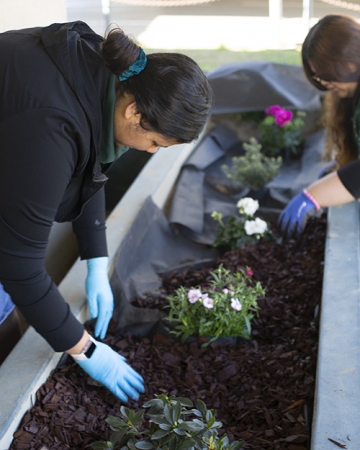 UC Merced students Vanessa Flores (left), a sophomore in sociology from Escondido and Jazlene Villanueva (right), a junior in biology from Concord, plant flowers to enhance to local elementary school.  
