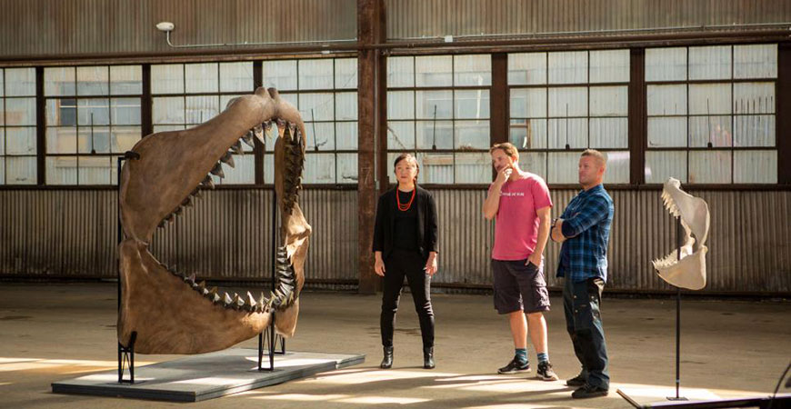 Professor Kim, left, stands between a model of a megalodon jaw and the jaw of a great white shark in a scene from "Jaws vs. The Meg," airing Sunday night.