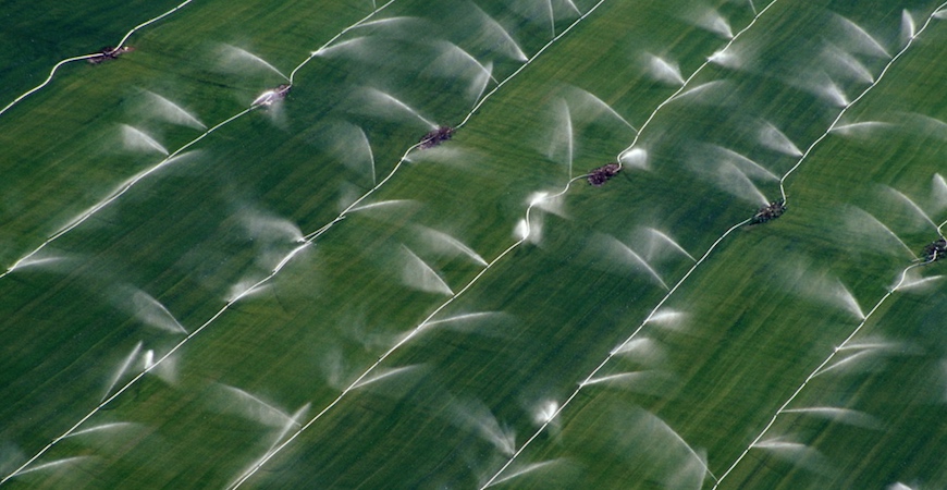 Aerial photograph of green farmland being watered by dozens of sprinklers.