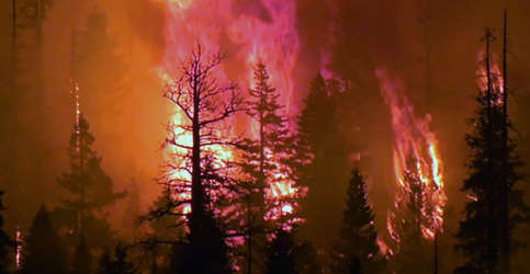 A forest fire is pictured in a photo from "California's Watershed Healing"