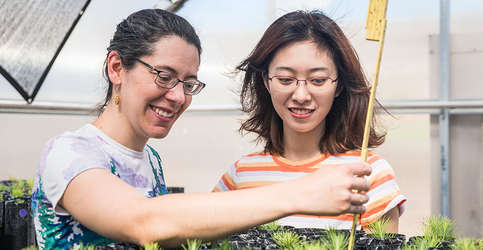 Professor Emily Moran, left, with a grad student in one of the campus research greenhouses.